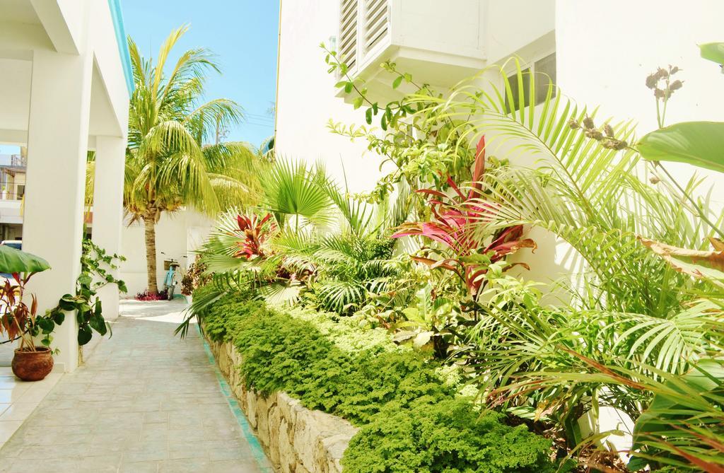 Corales Suites Puerto Morelos Exterior photo
